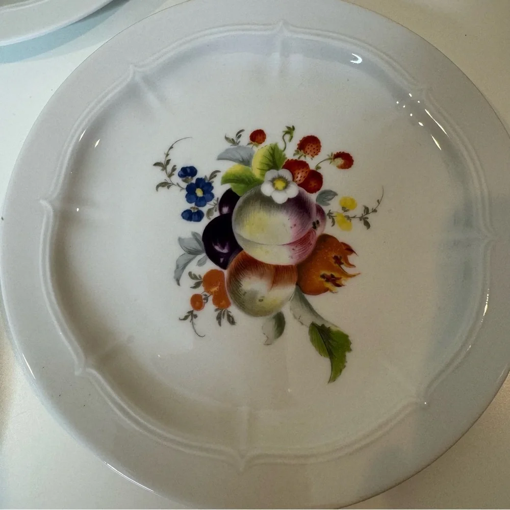 VOHENSTRAUSS-Johann Seltmann-Bavarian Germany Botanical Fruit salad plates